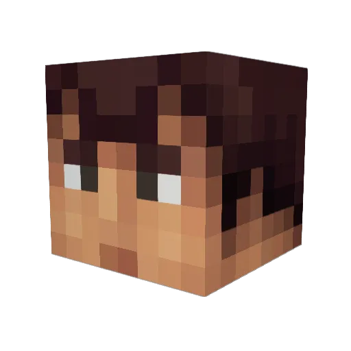 Tomcat87 Minecraft avatar head, 3D render
