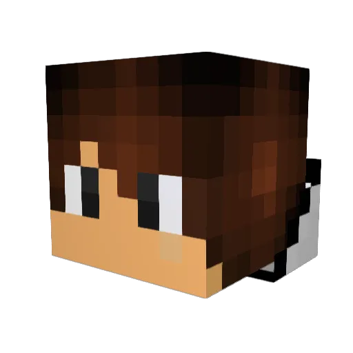 TomcatD Minecraft avatar head, 3D render