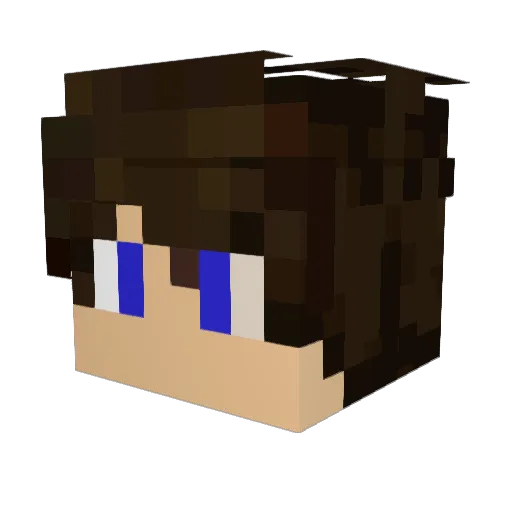 Tomcdz8 Minecraft avatar head, 3D render