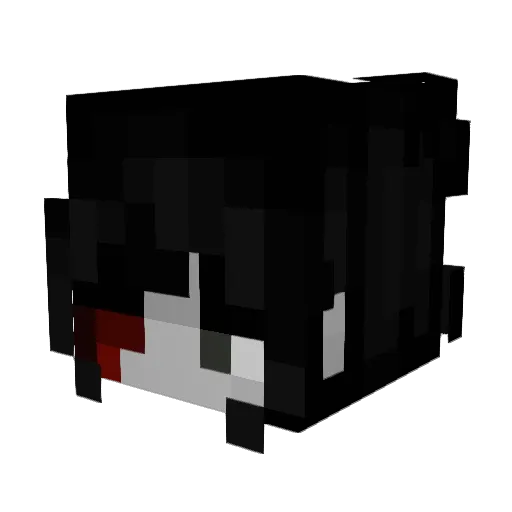 Tomce20 Minecraft avatar head, 3D render
