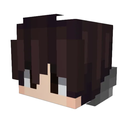 Tomcio2014XD Minecraft avatar head, 3D render