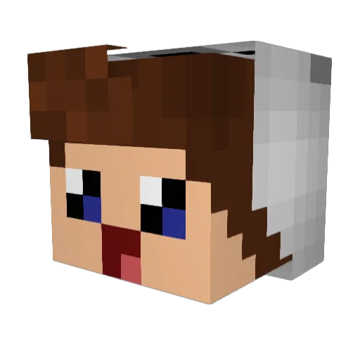 Tomcraft2008 Minecraft avatar head, 3D render