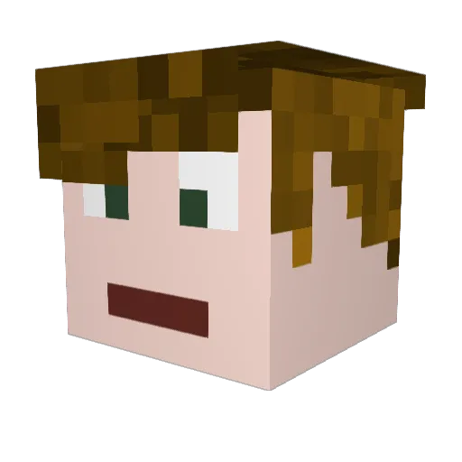 Tomdebom1 Minecraft avatar head, 3D render