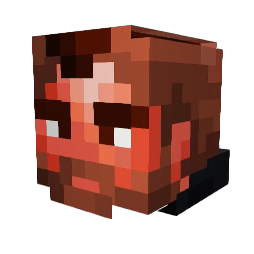 Tomdomon Minecraft avatar head, 3D render