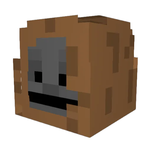 Tomdosho420 Minecraft avatar head, 3D render