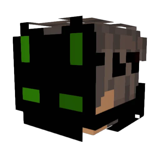 TomegPro Minecraft avatar head, 3D render