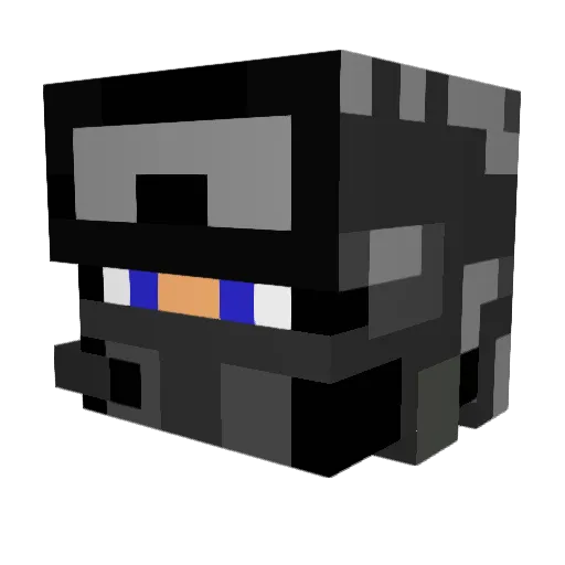 Tomek24 Minecraft avatar head, 3D render