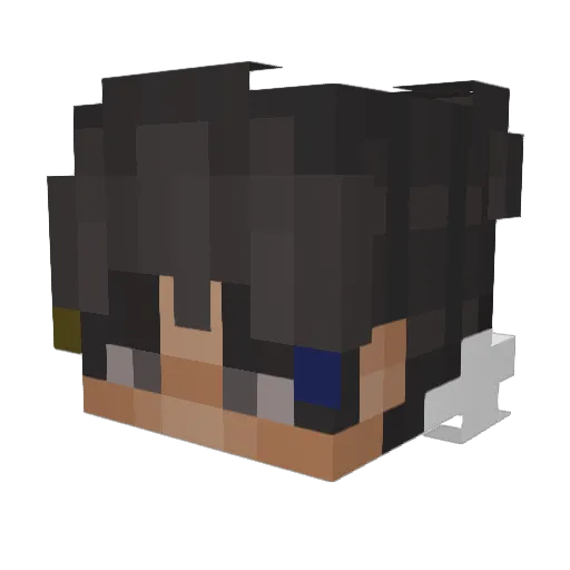 TomekIGierki Minecraft avatar head, 3D render