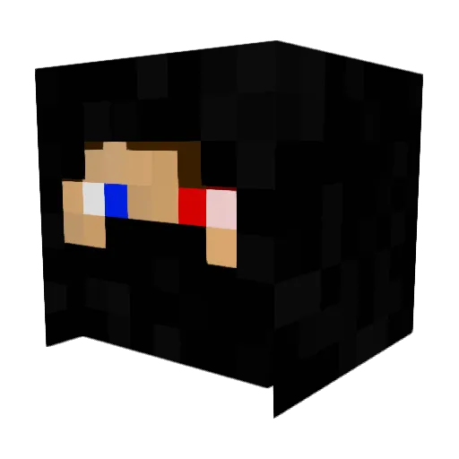 Tomekkostuc Minecraft avatar head, 3D render