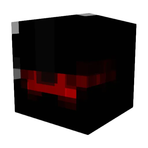Tomer14 Minecraft avatar head, 3D render