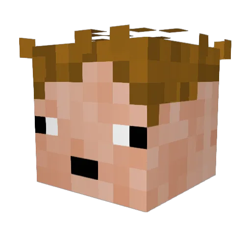 Tomer321 Minecraft avatar head, 3D render