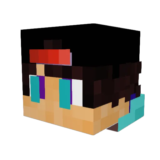 TomerGnes Minecraft avatar head, 3D render
