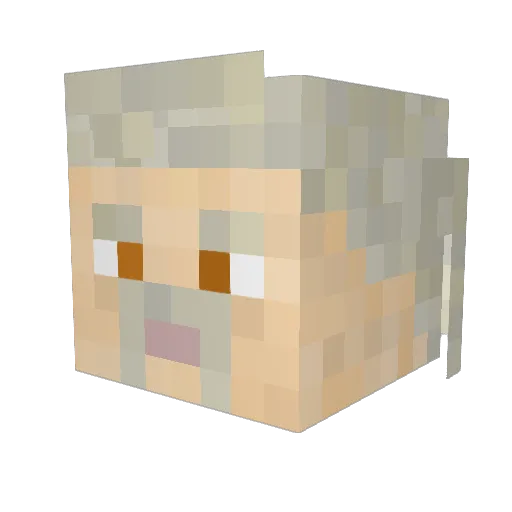 TomerMC57 Minecraft avatar head, 3D render