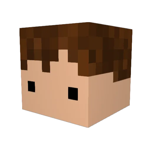 Tomerikoh Minecraft avatar head, 3D render