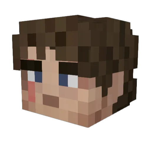 Tomewillo Minecraft avatar head, 3D render