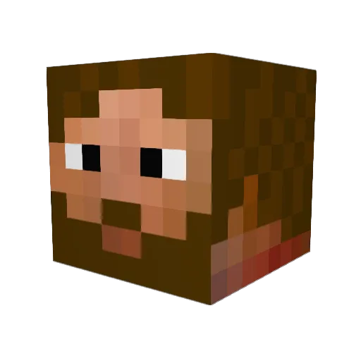 Tomexon Minecraft avatar head, 3D render