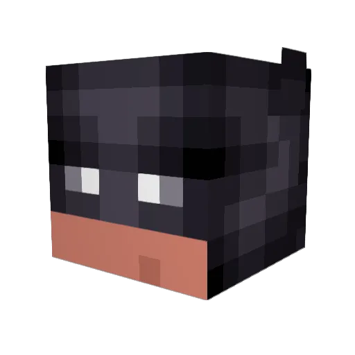 Tomfish99 Minecraft avatar head, 3D render