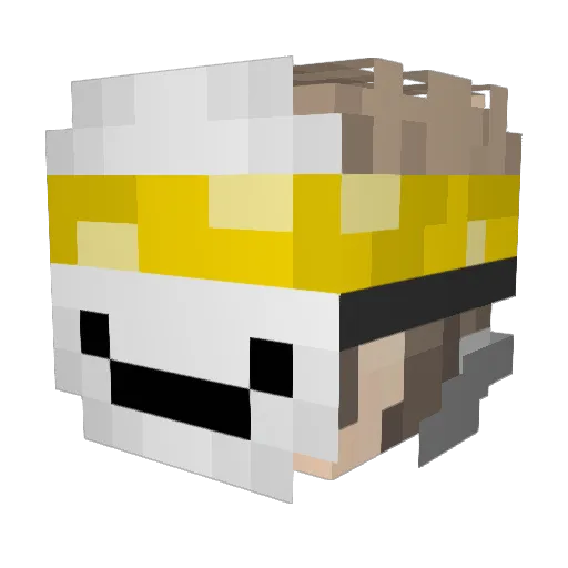 Tomgau11 Minecraft avatar head, 3D render