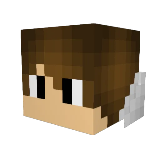 Tomgor312 Minecraft avatar head, 3D render