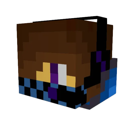 Tomi2004 Minecraft avatar head, 3D render