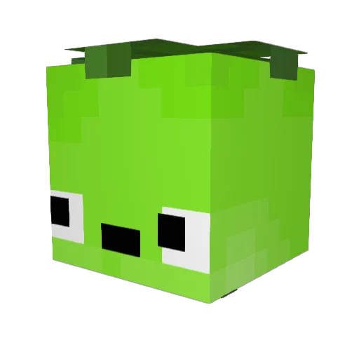 Tomi22 Minecraft avatar head, 3D render