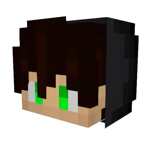 TomiLiebtD Minecraft avatar head, 3D render
