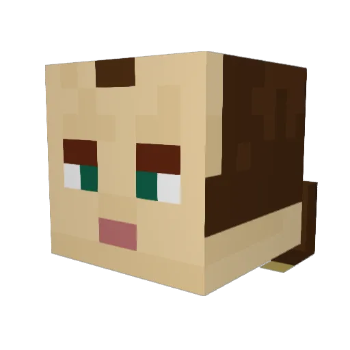 Tomi_Cool_Smart Minecraft avatar head, 3D render