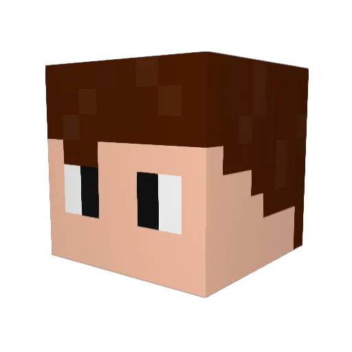 Tomi_YT Minecraft avatar head, 3D render