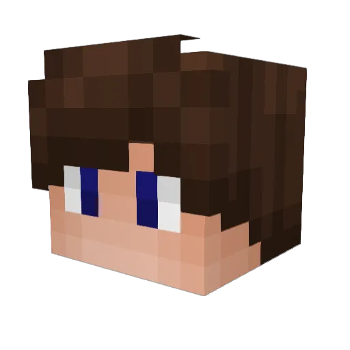 Tomib70 Minecraft avatar head, 3D render