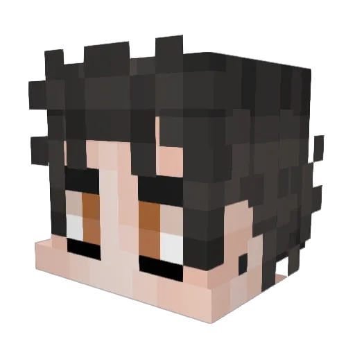 Tomic15 Minecraft avatar head, 3D render