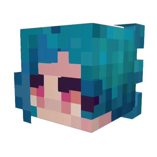 Tomie95 Minecraft avatar head, 3D render
