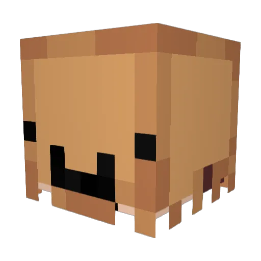 Tomik_NK Minecraft avatar head, 3D render