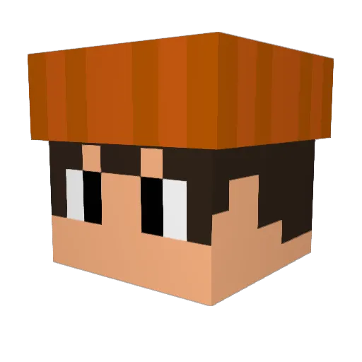 TomikeMan Minecraft avatar head, 3D render