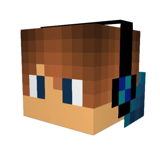 TominatorR Minecraft avatar head, 3D render