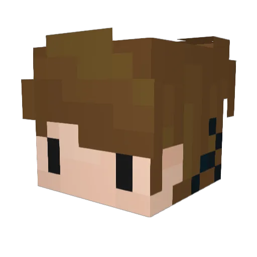 Tominz Minecraft avatar head, 3D render