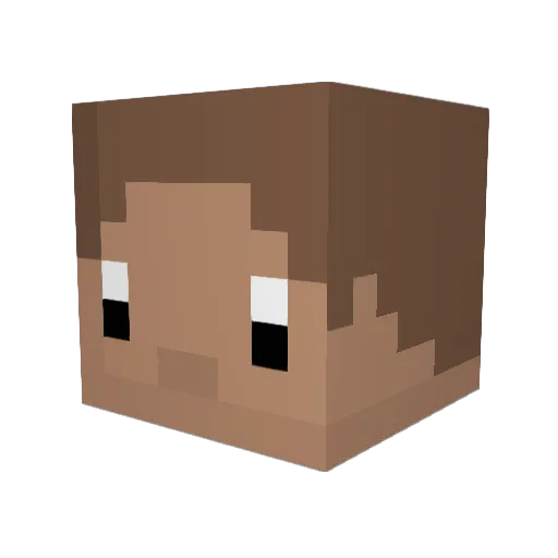 Tomio01 Minecraft avatar head, 3D render