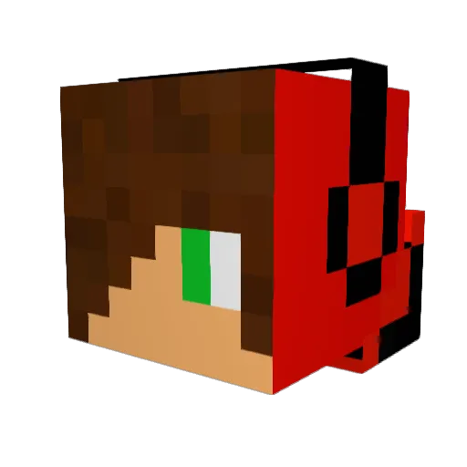 Tomix2417 Minecraft avatar head, 3D render