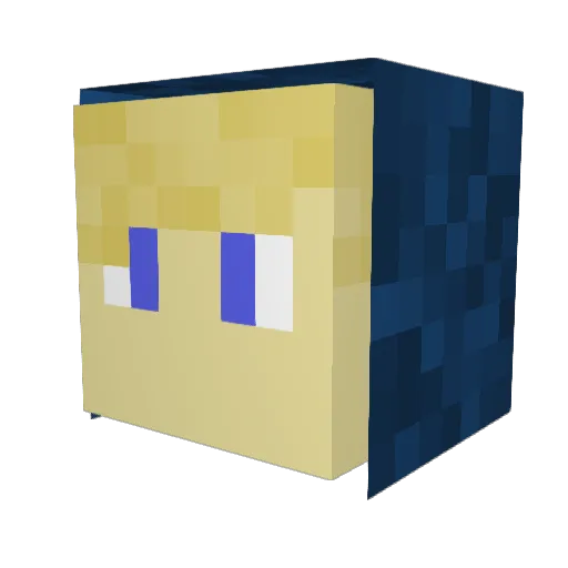 Tomkanalless Minecraft avatar head, 3D render