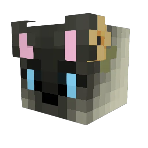 Tomkooeu1 Minecraft avatar head, 3D render