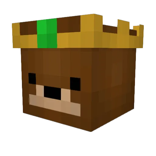 Tomler Minecraft avatar head, 3D render