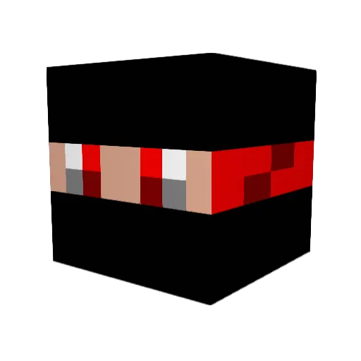Tomly Minecraft avatar head, 3D render