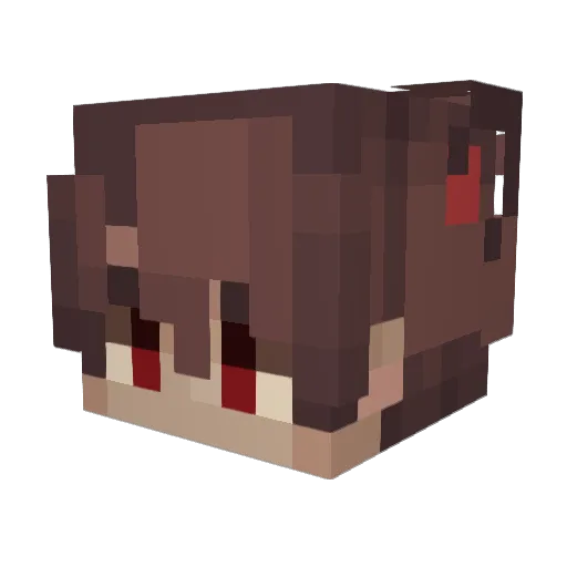 Tommax45 Minecraft avatar head, 3D render