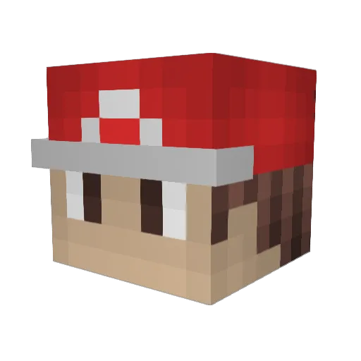 Tommeeey Minecraft avatar head, 3D render