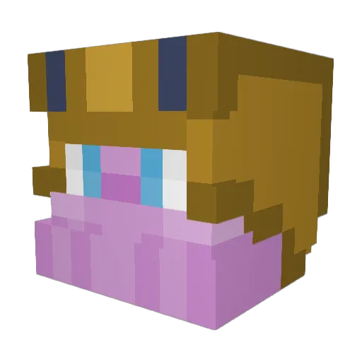 Tommidane Minecraft avatar head, 3D render