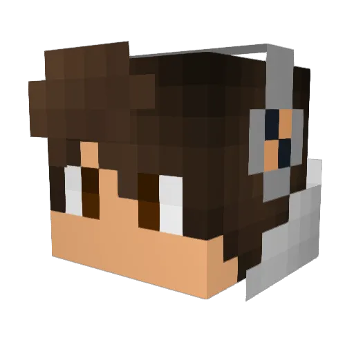 Tomml05 Minecraft avatar head, 3D render
