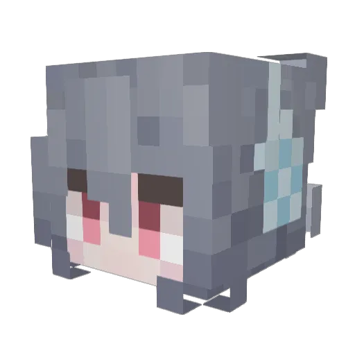 Tommy0824 Minecraft avatar head, 3D render