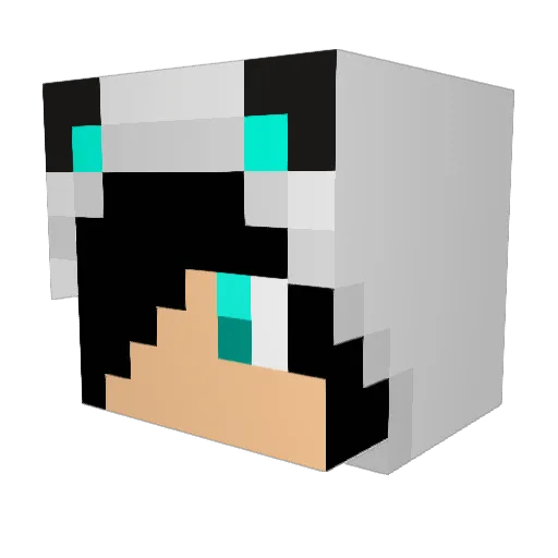 Tommy22plays Minecraft avatar head, 3D render