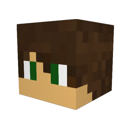 Tommy3603 Minecraft avatar head, 3D render