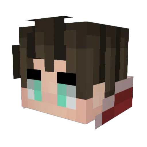 Tommy59 Minecraft avatar head, 3D render