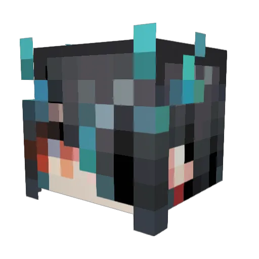 Tommy95276 Minecraft avatar head, 3D render